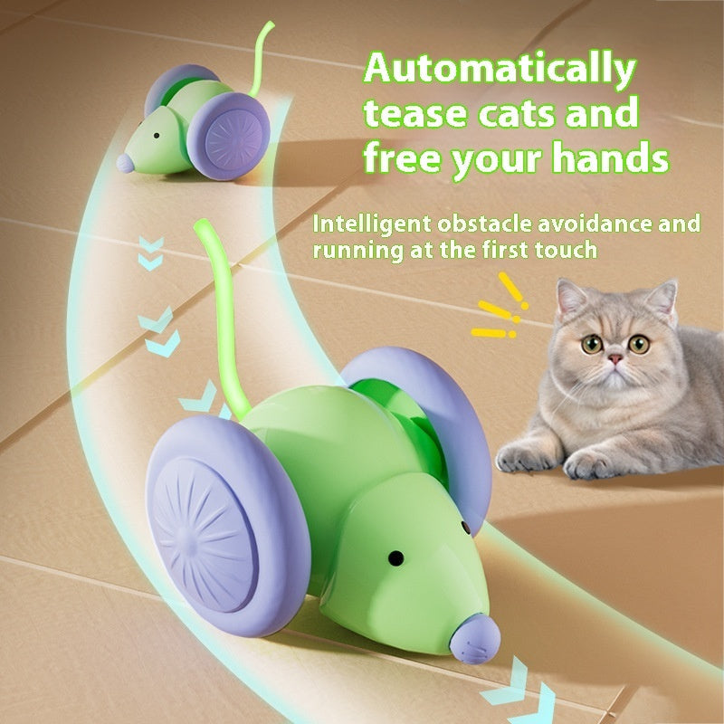 Kitty Chaser - Interactive Electric Mouse Car