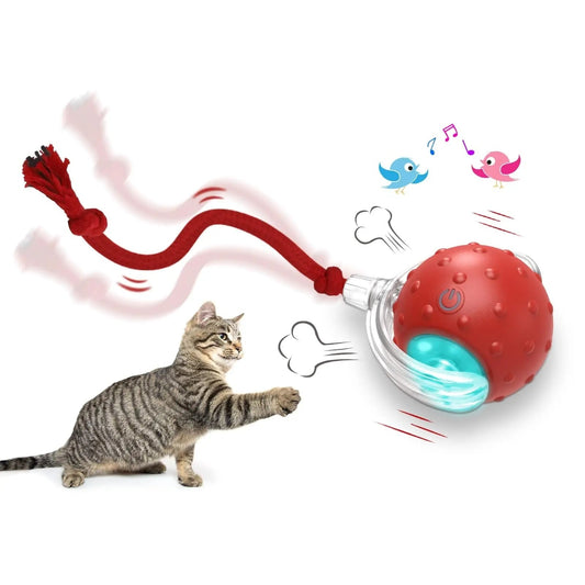 Kitty Roller - Interactive Electric Rolling Ball